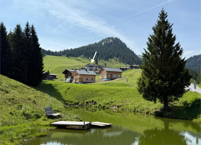 Gantekopfhütte  myRelaxs Ferienwohnung Schwarzwaldschdub
